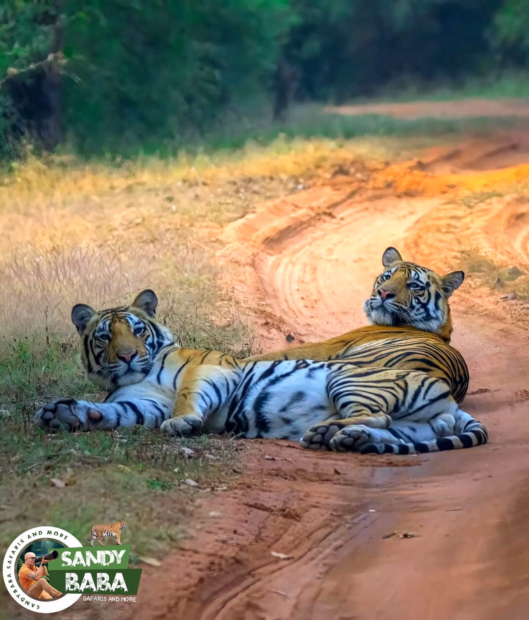 Pench National Park landscape