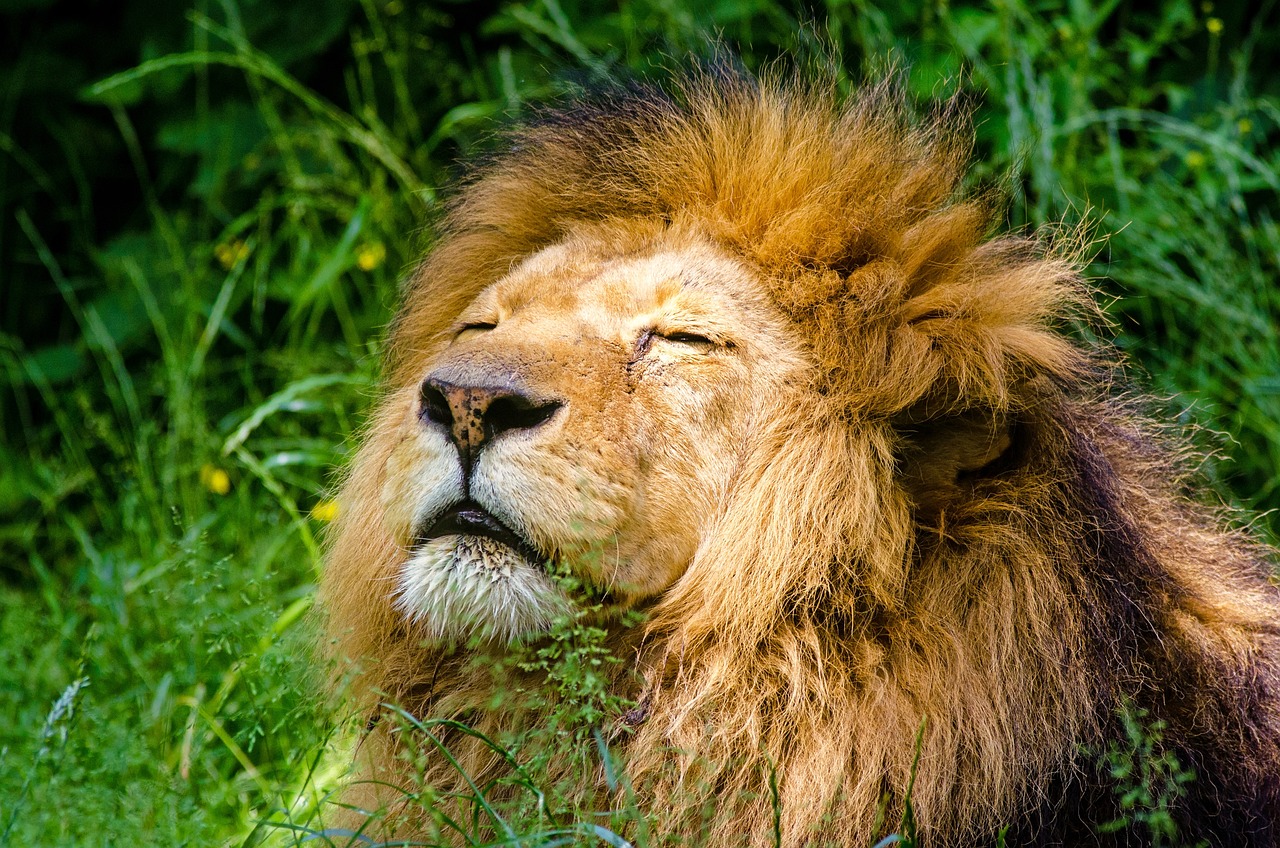Serengeti National Park, Tanzania